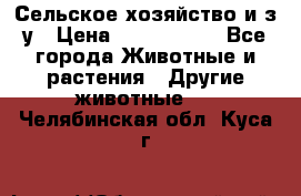 Сельское хозяйство и з/у › Цена ­ 2 500 000 - Все города Животные и растения » Другие животные   . Челябинская обл.,Куса г.